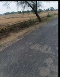 plot in Raunia , Masaurhi