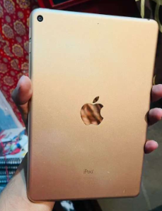 Ipad mini 5